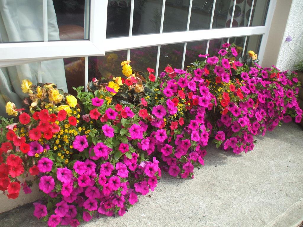 קיל איירן Carranross Accommodation מראה חיצוני תמונה